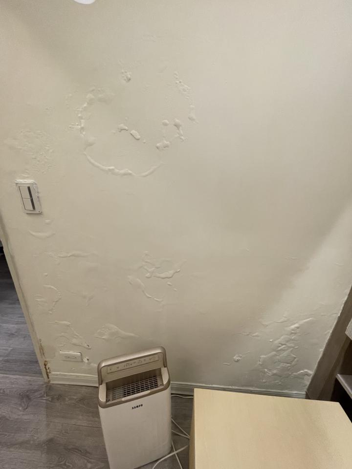 油漆工程案件圖片