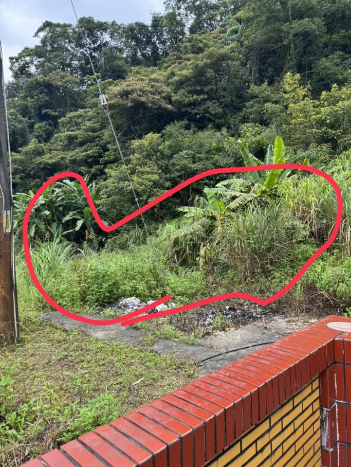 園藝維護案件圖片 園藝維護案件圖片