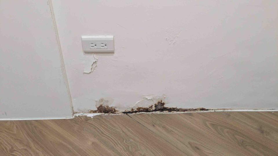 油漆工程案件圖片