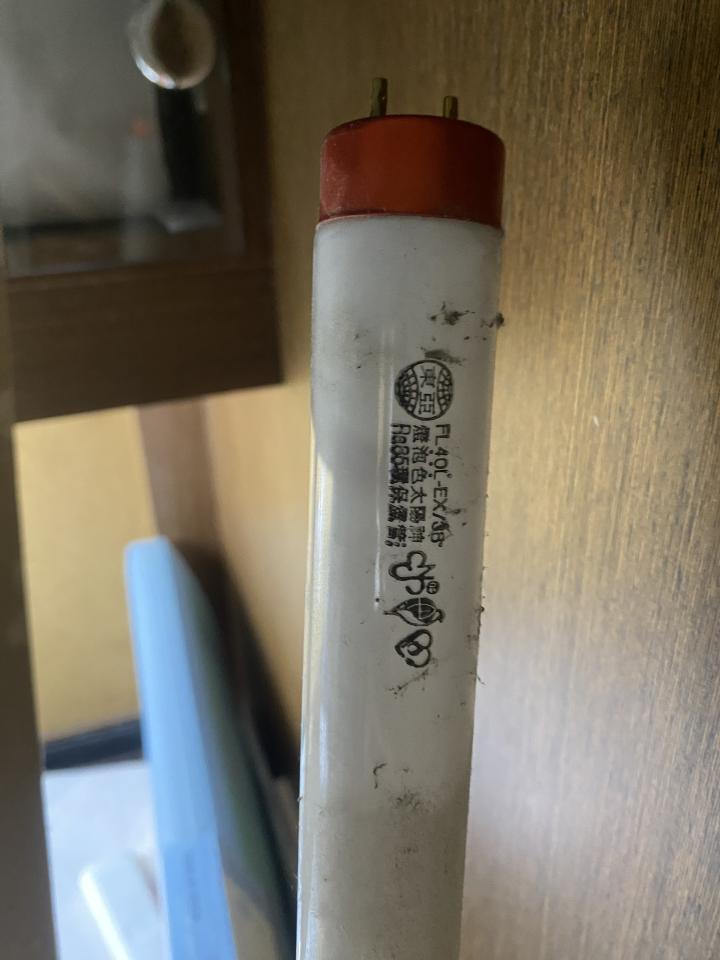 電線裝修案件圖片 電線裝修案件圖片