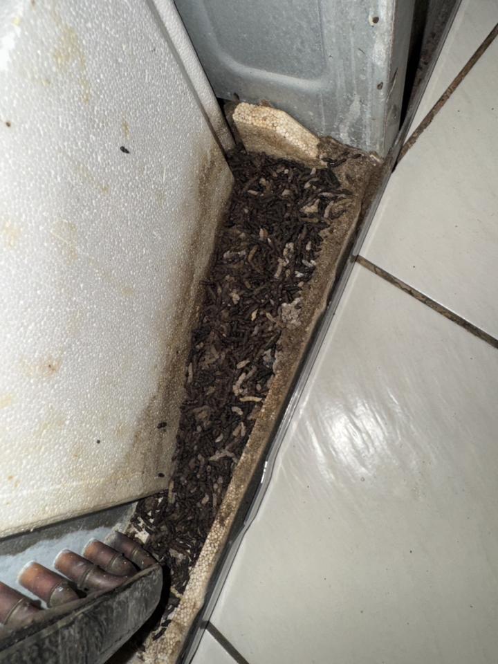 營業用冷氣清洗案件圖片