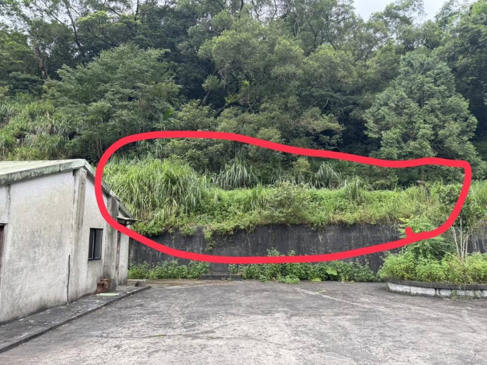 園藝維護案件圖片 園藝維護案件圖片