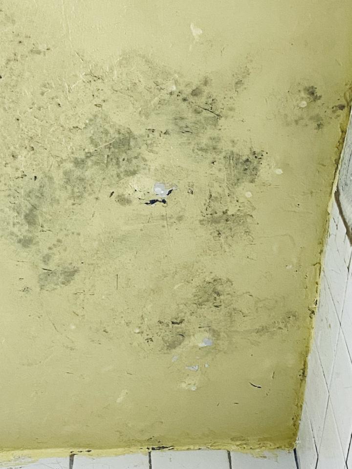 抓漏案件圖片