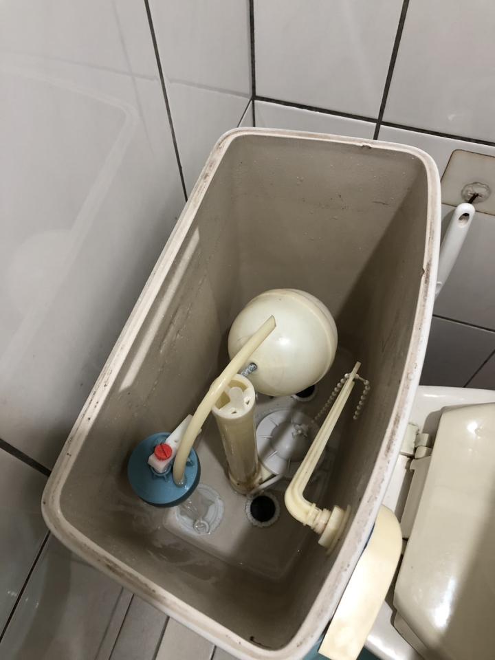 馬桶裝修案件圖片