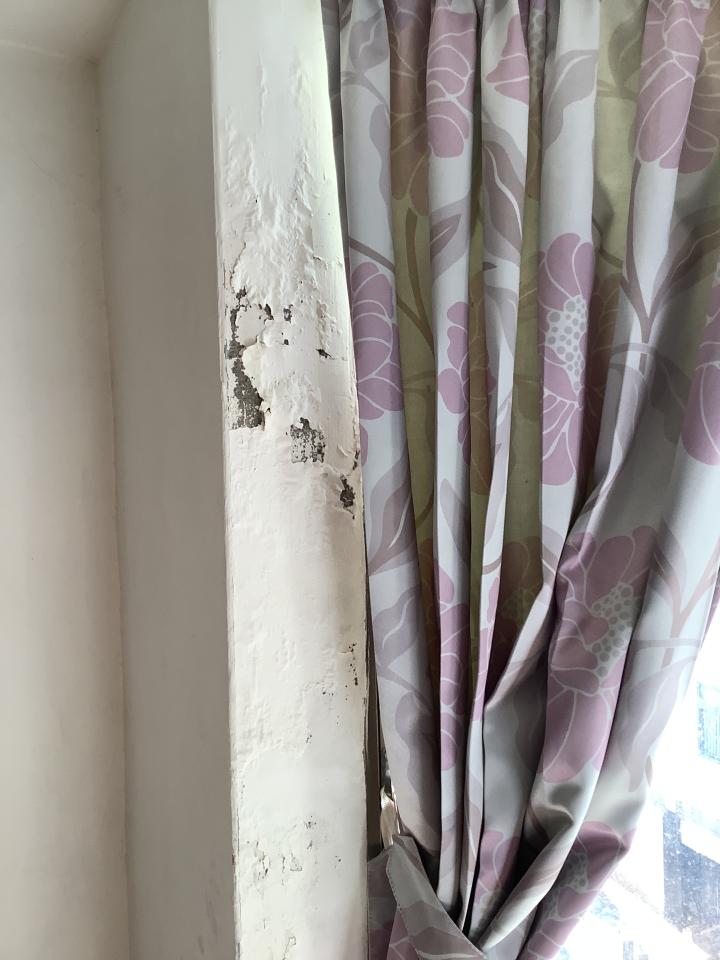 抓漏案件圖片