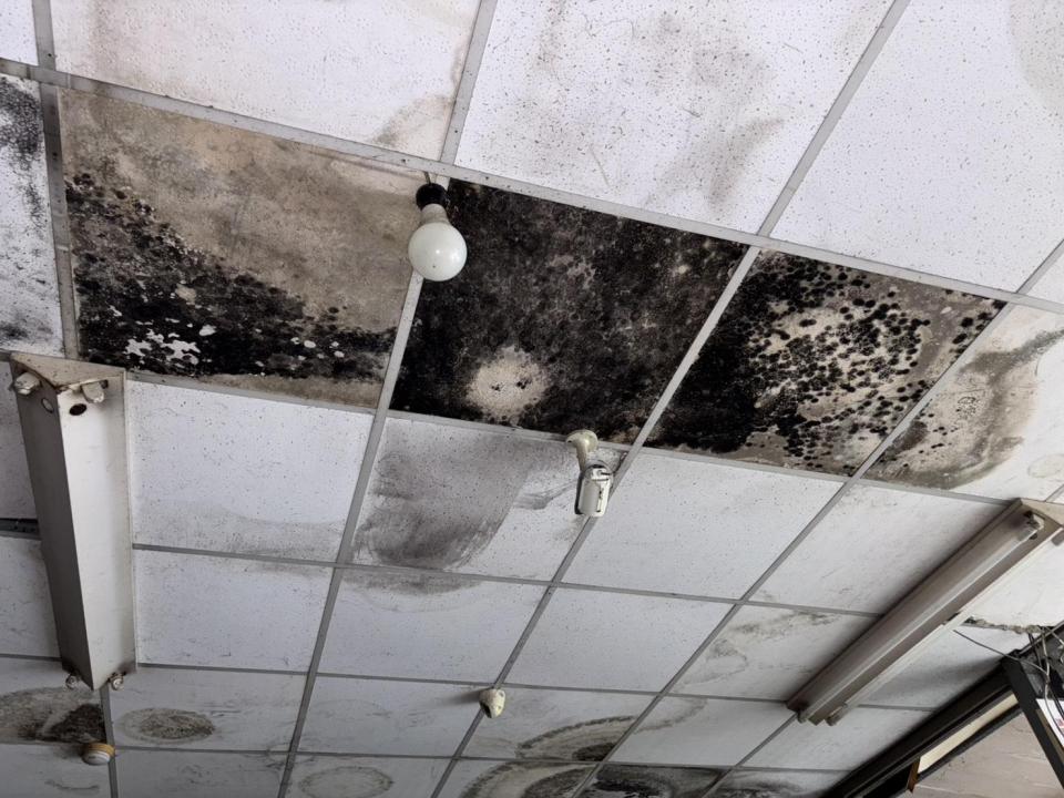 鐵皮屋頂案件圖片