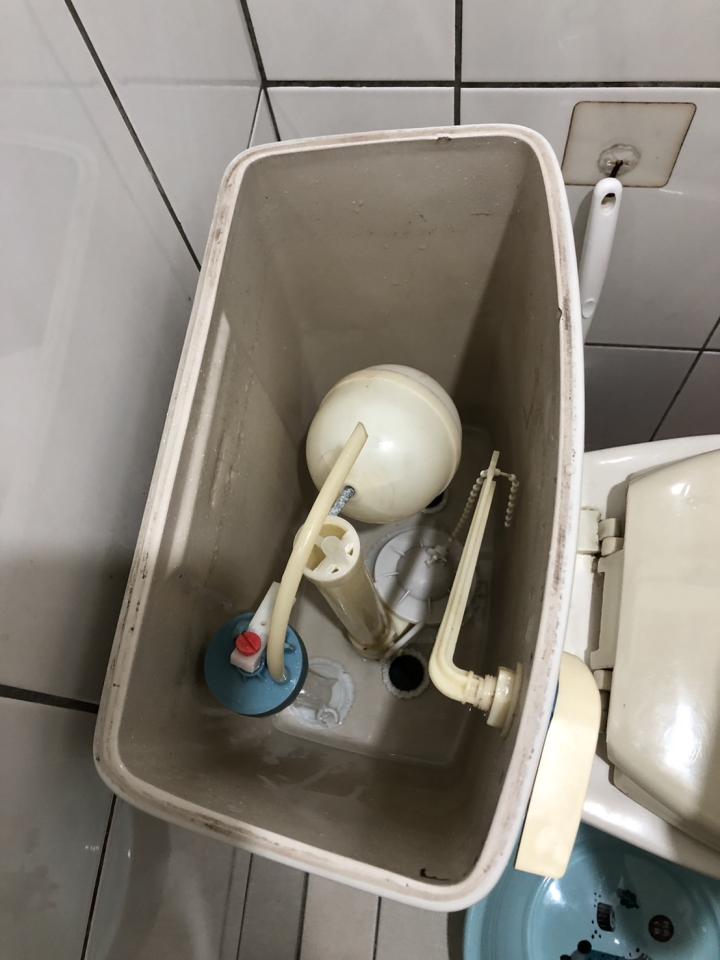 馬桶裝修案件圖片