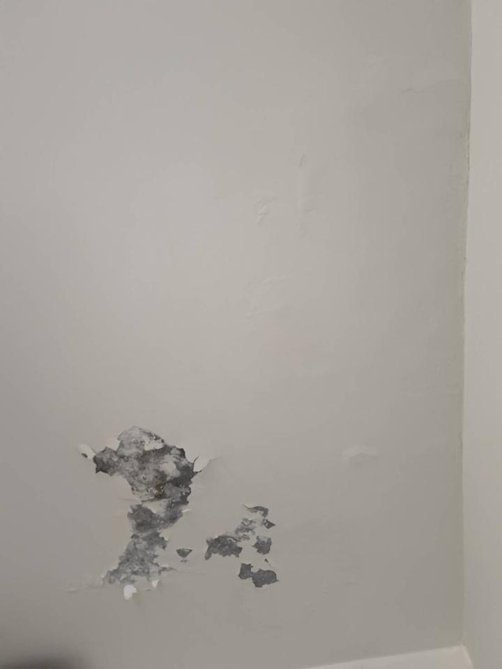 壁癌處理案件圖片