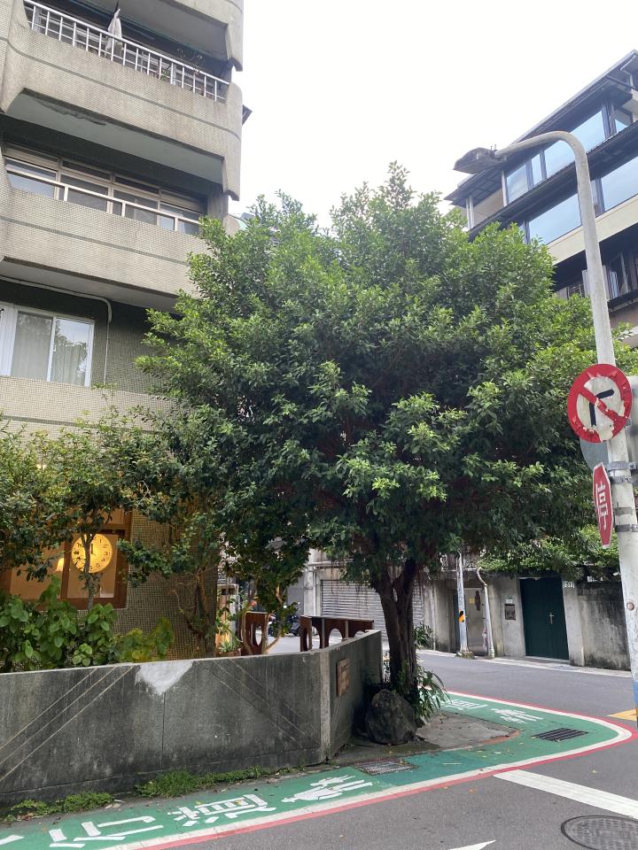 園藝維護案件圖片