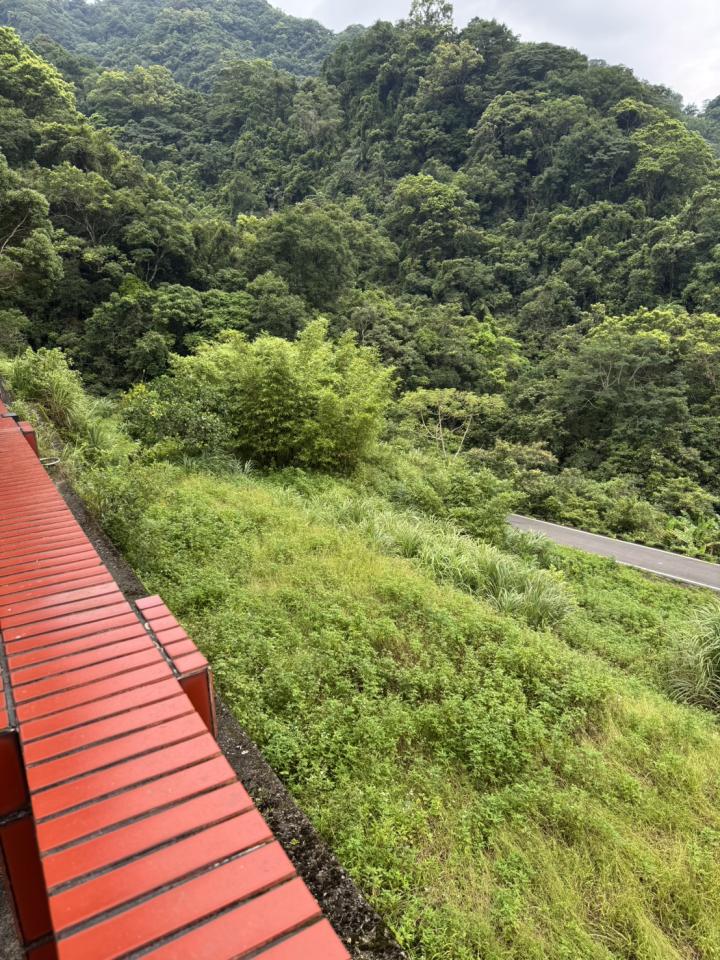 園藝維護案件圖片 園藝維護案件圖片