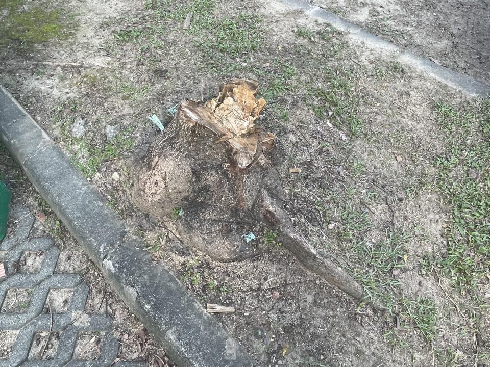 吊車公司案件圖片