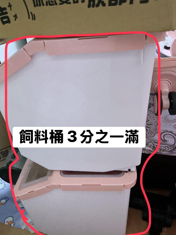 搬家案件圖片 搬家案件圖片