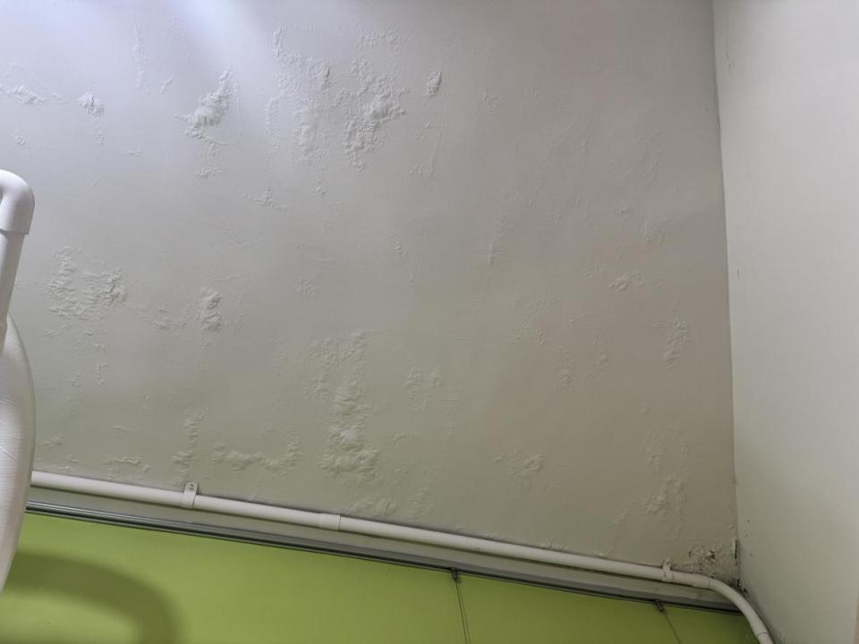 油漆工程案件圖片