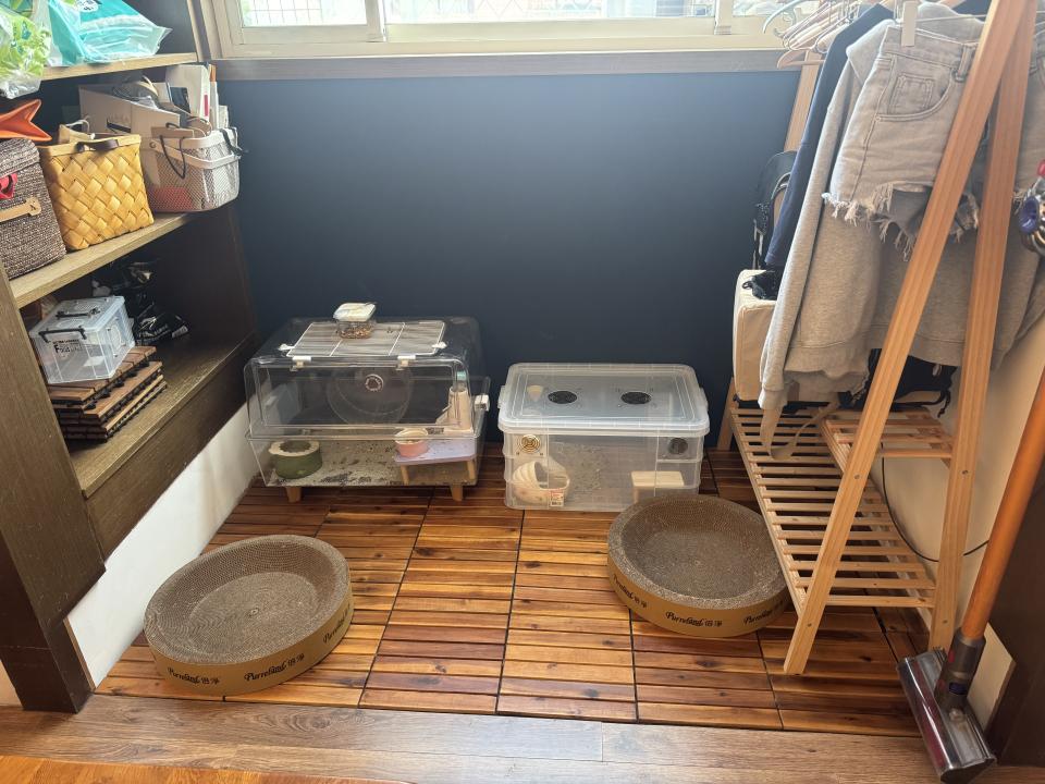 室內設計案件圖片