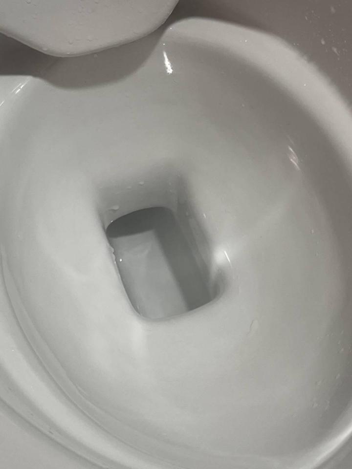 馬桶裝修案件圖片