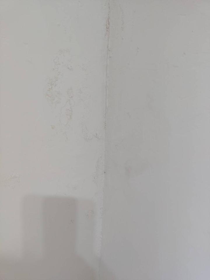 壁癌處理案件圖片