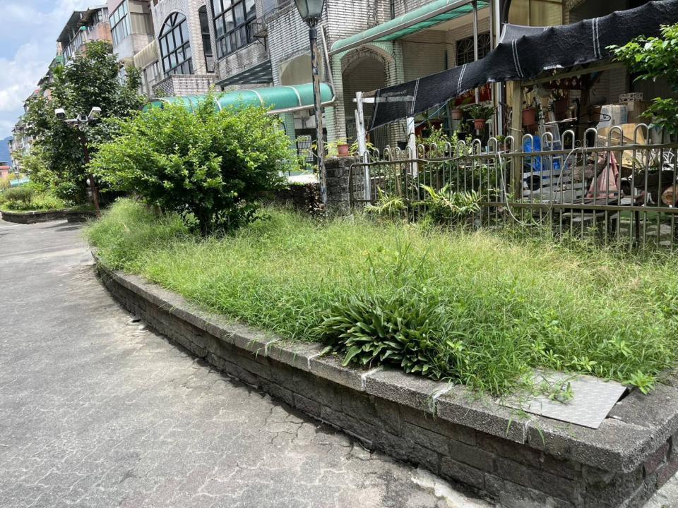 園藝設計案件圖片 園藝設計案件圖片