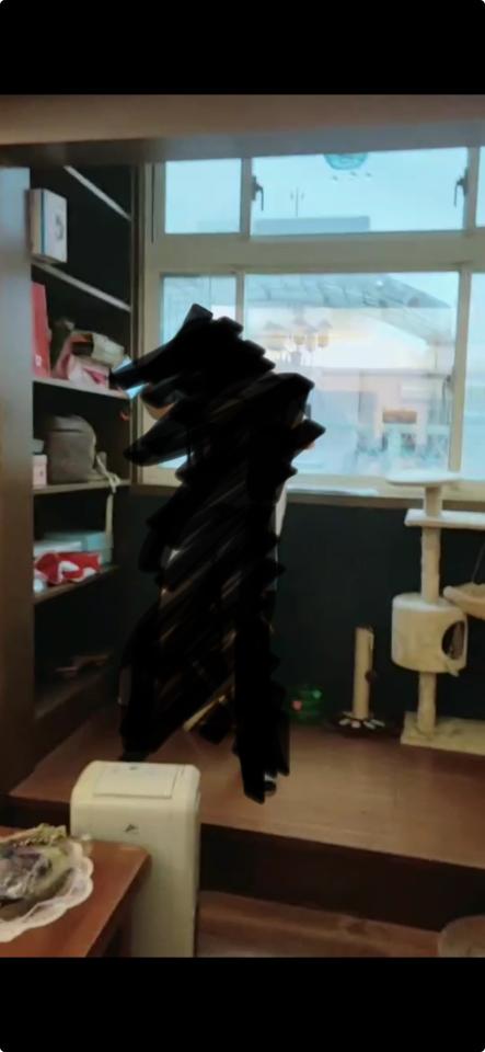 地板施工案件圖片 地板施工案件圖片