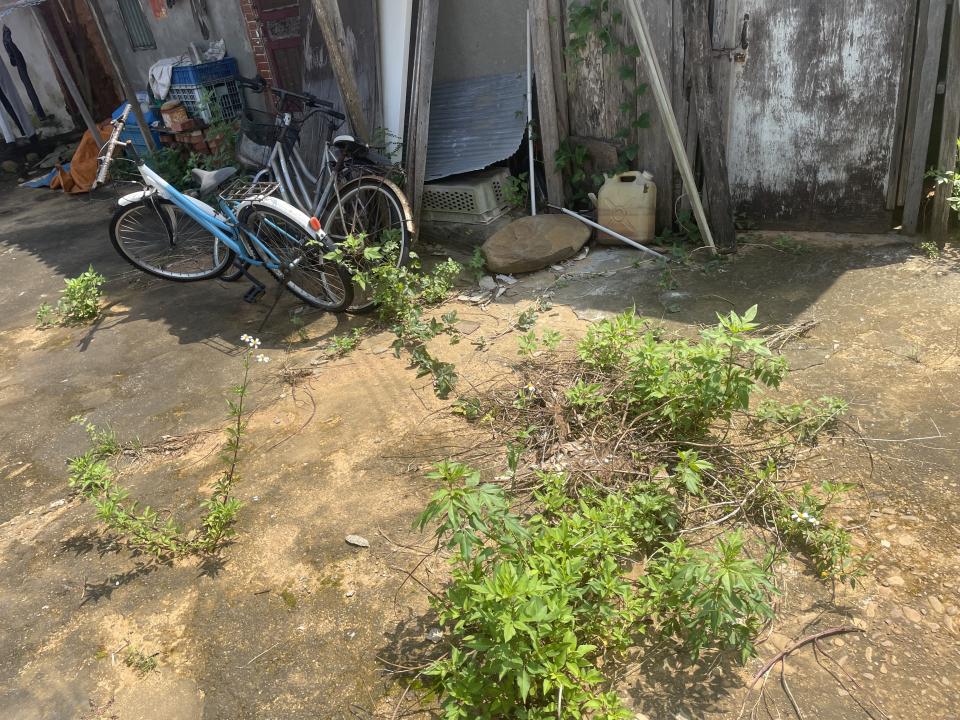 園藝維護案件圖片 園藝維護案件圖片