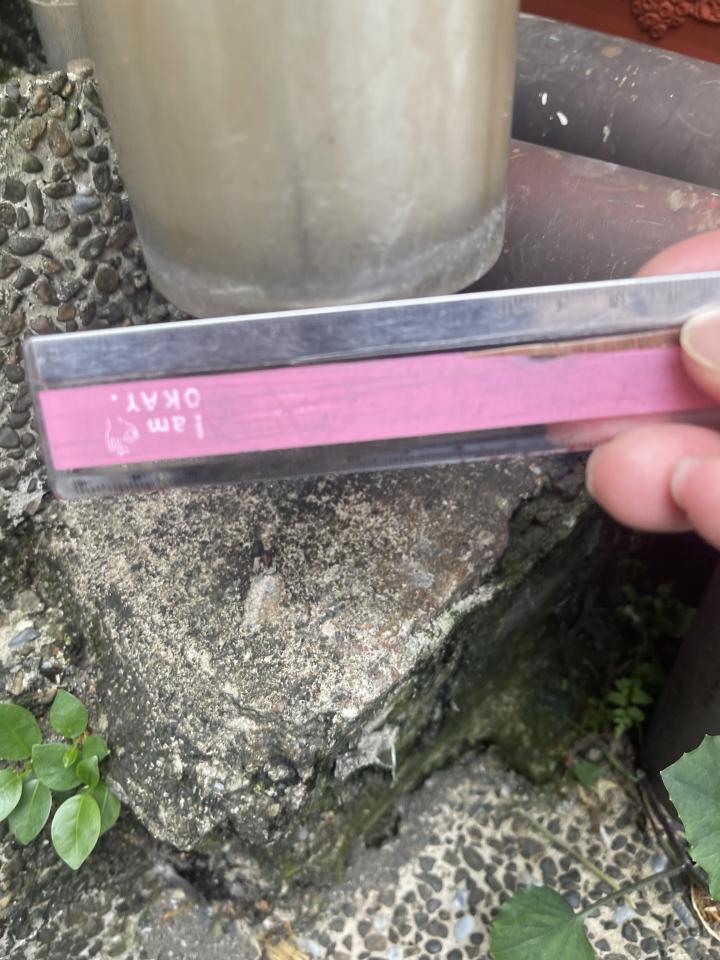 屋頂排水案件圖片