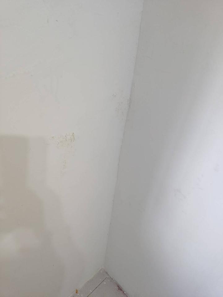 壁癌處理案件圖片