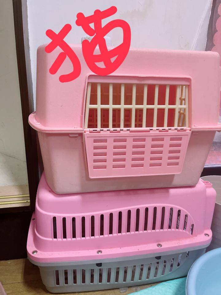 搬家案件圖片 搬家案件圖片