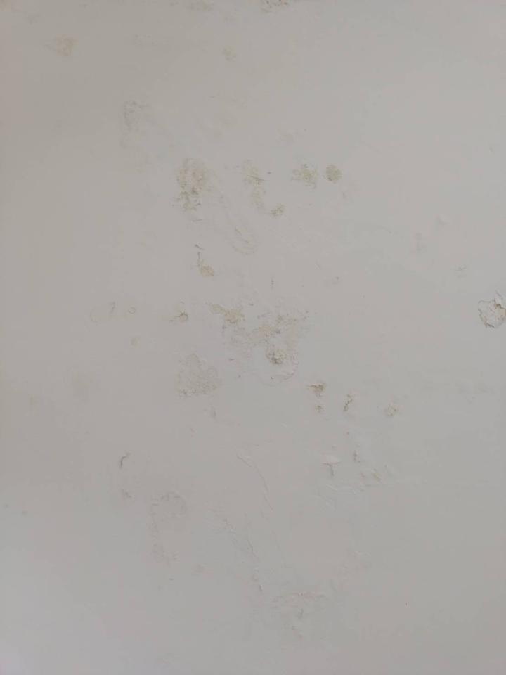壁癌處理案件圖片