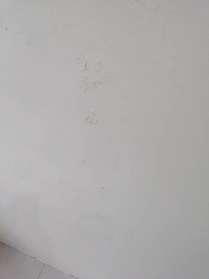 壁癌處理案件圖片