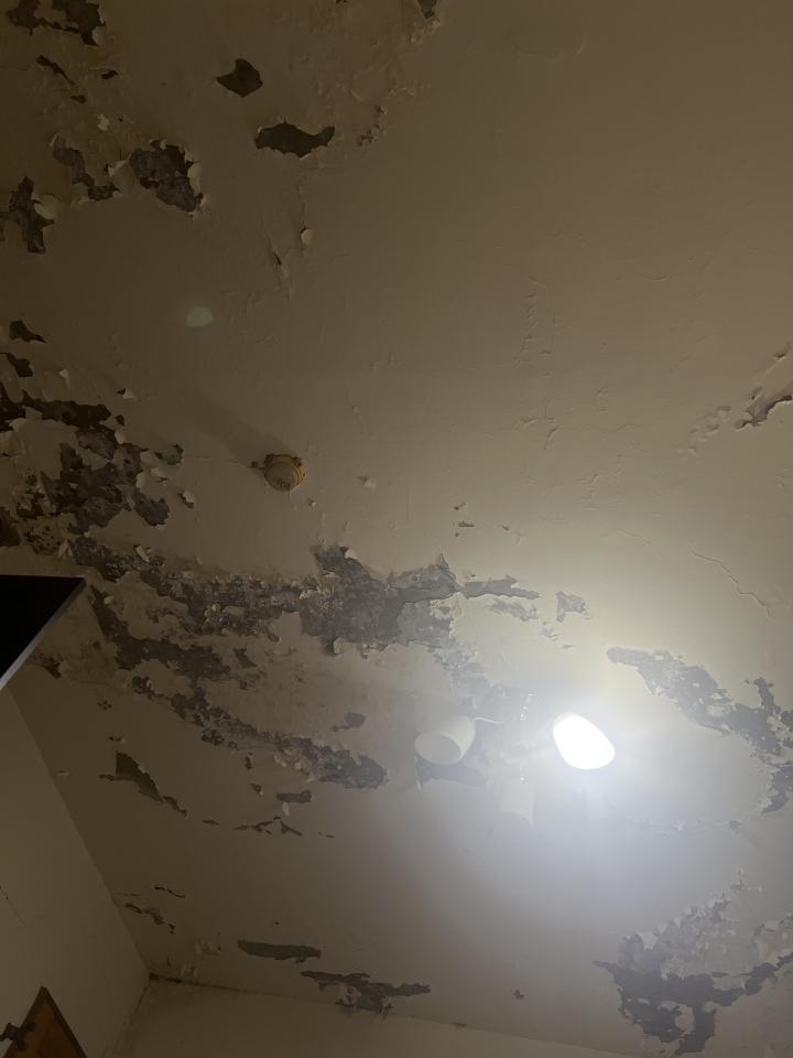 壁癌處理案件圖片