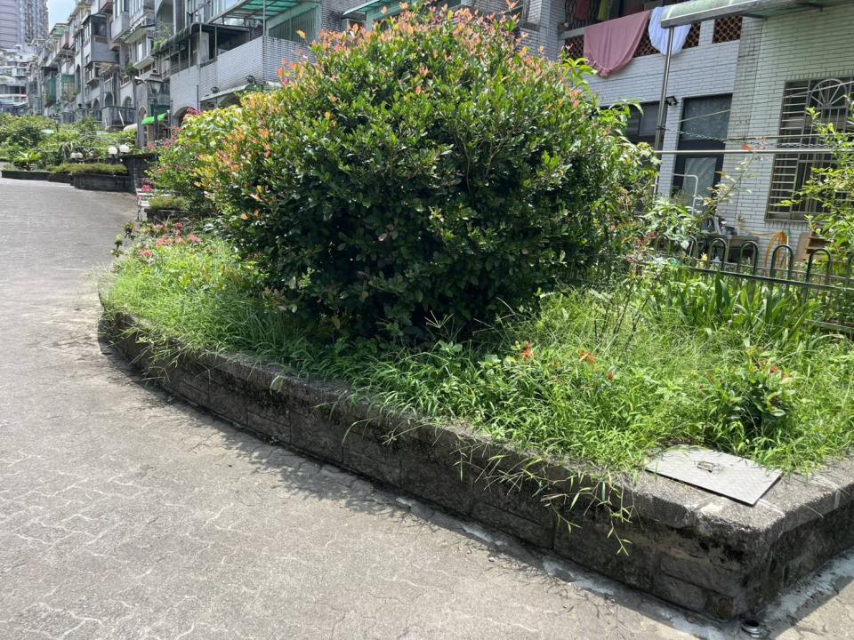 園藝設計案件圖片 園藝設計案件圖片
