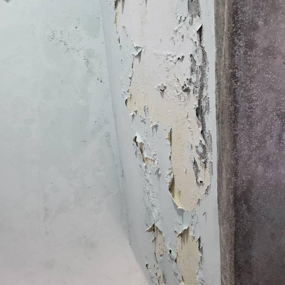 抓漏案件圖片