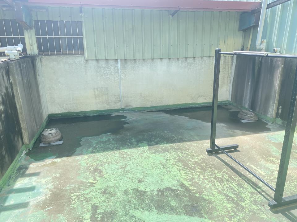 屋頂防水案件圖片