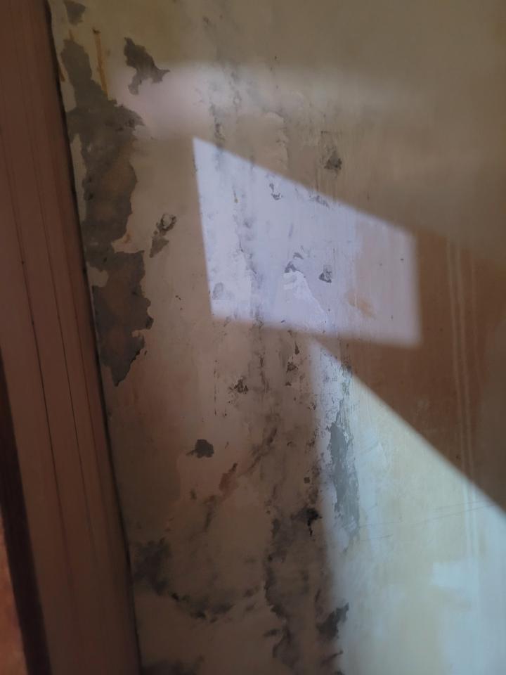 油漆工程案件圖片