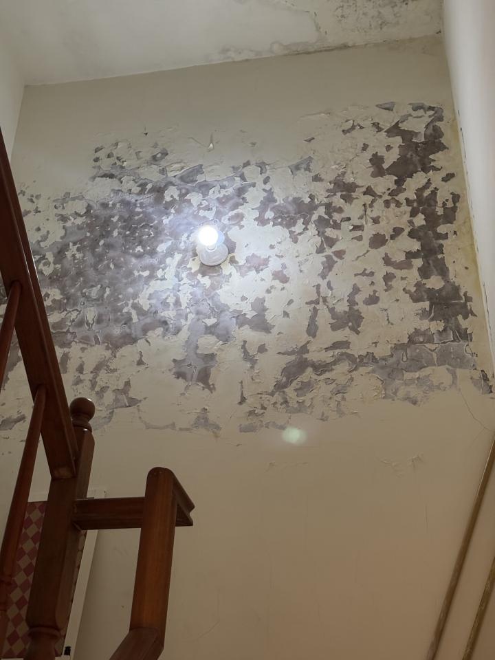 油漆工程案件圖片