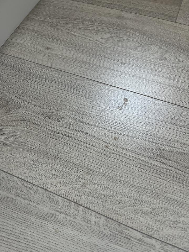 搬家清潔案件圖片