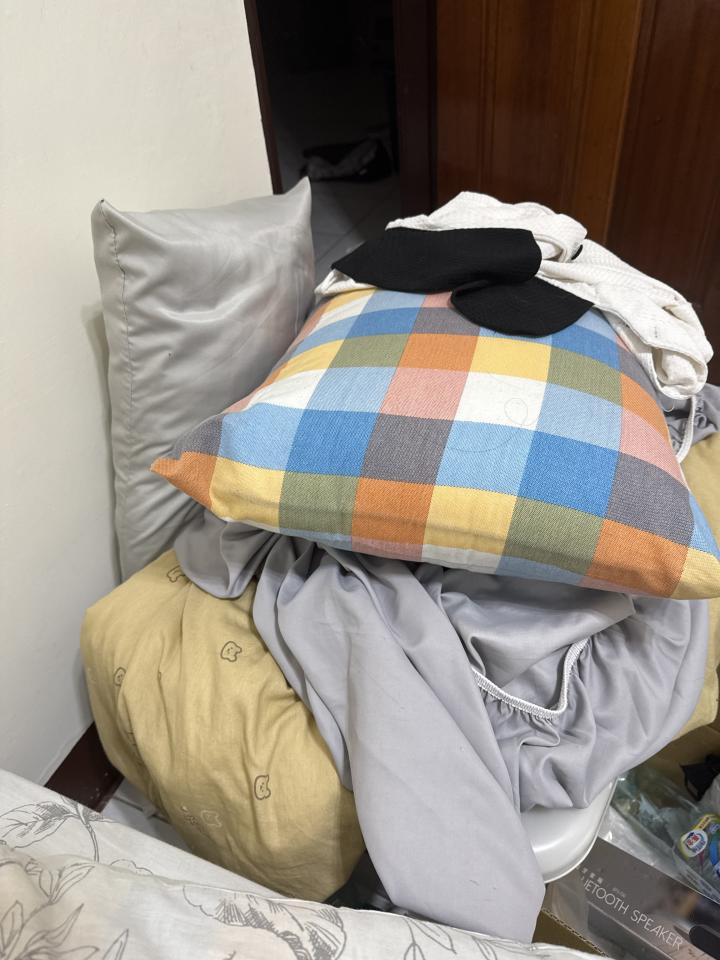 大型垃圾回收案件圖片