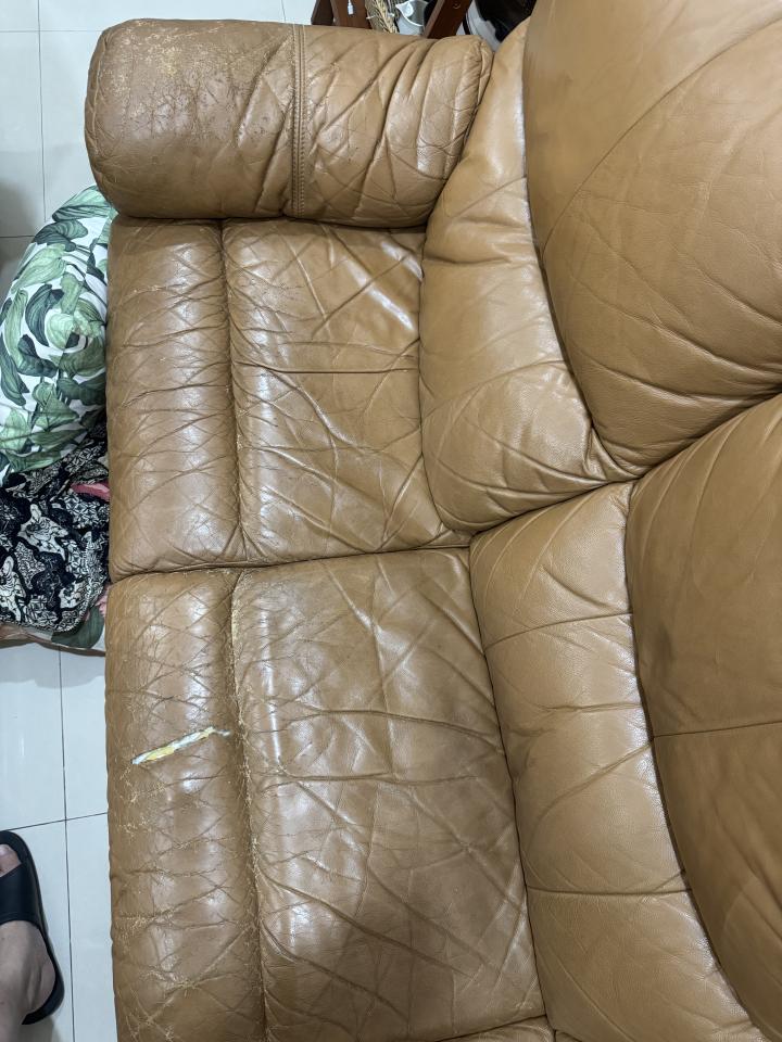 沙發修理案件圖片