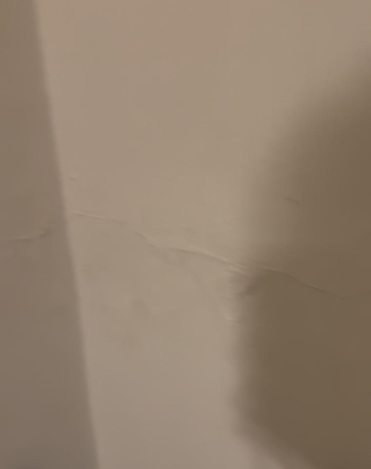 抓漏案件圖片