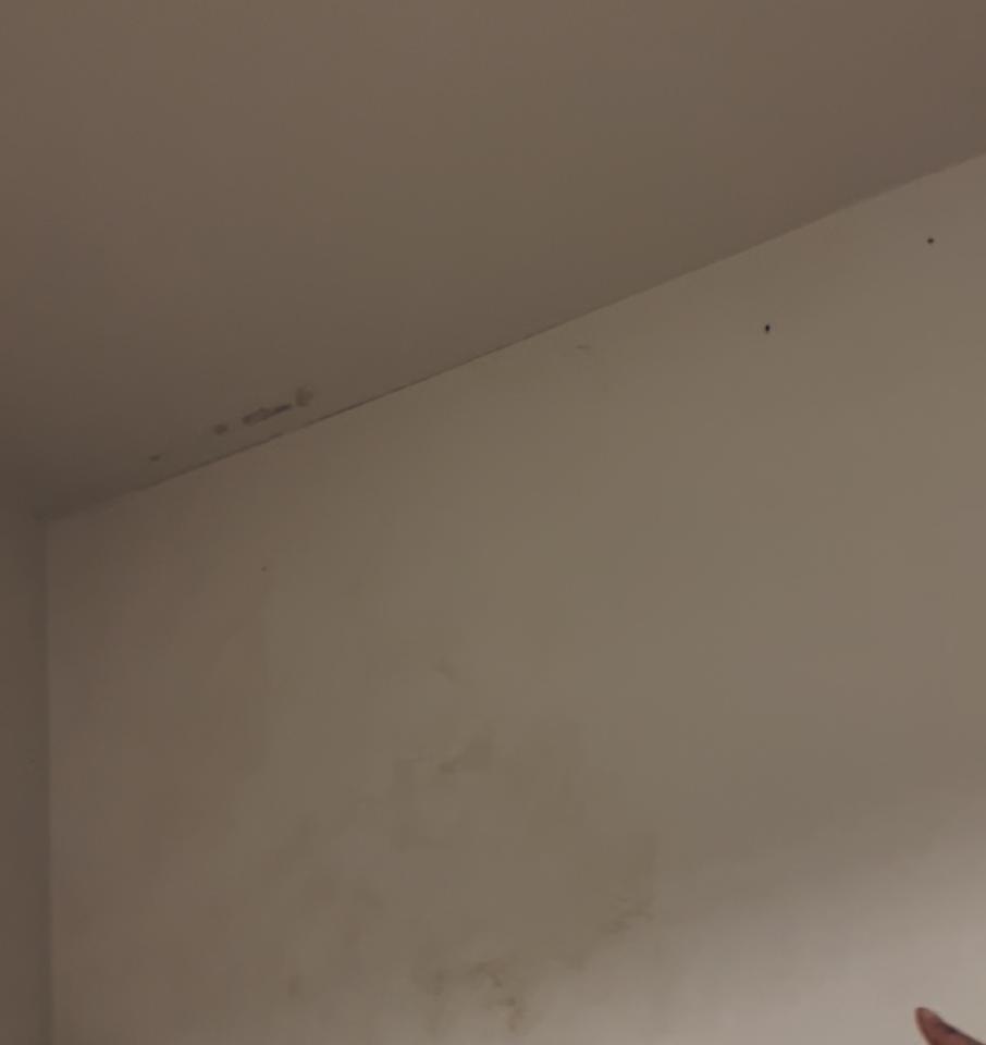 抓漏案件圖片