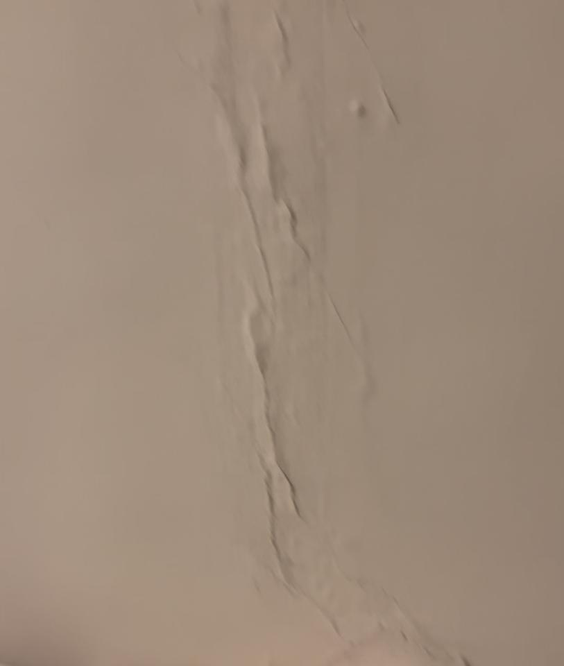 抓漏案件圖片