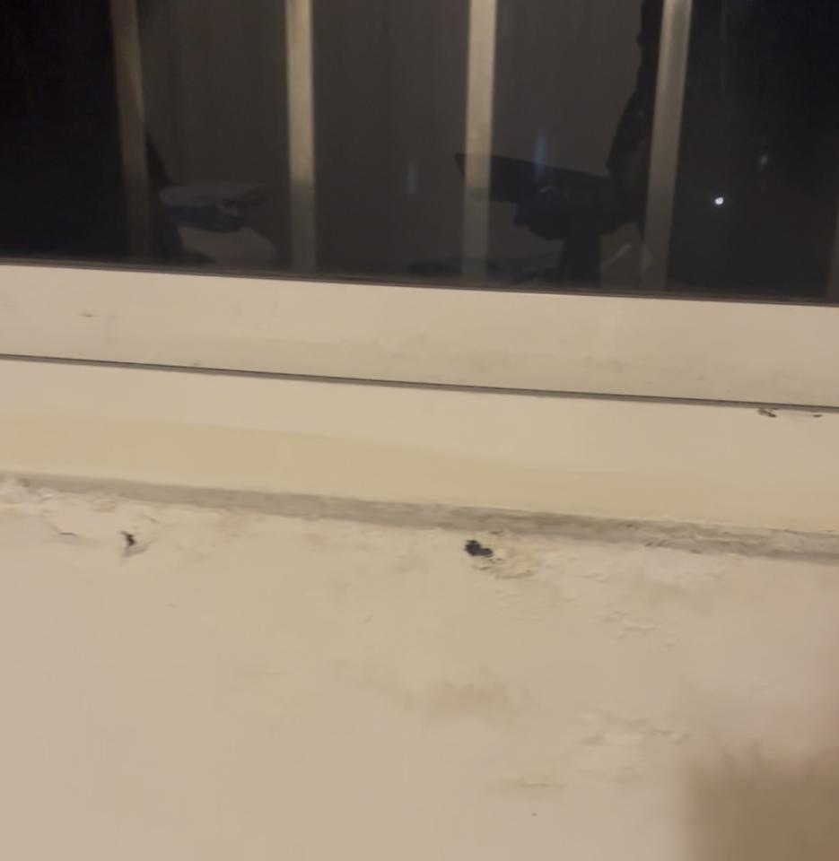 抓漏案件圖片