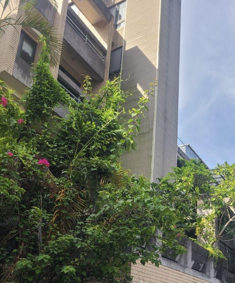 外牆裝潢板案件圖片