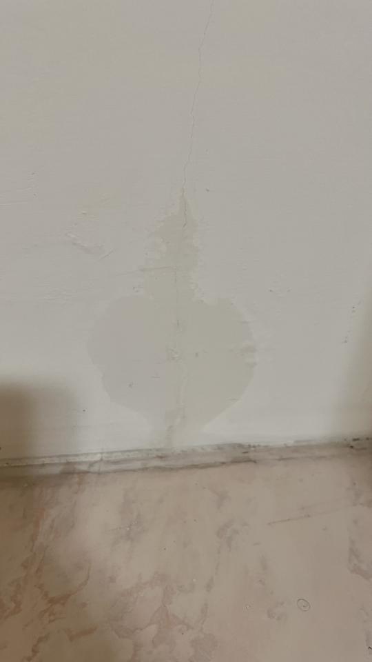 抓漏案件圖片