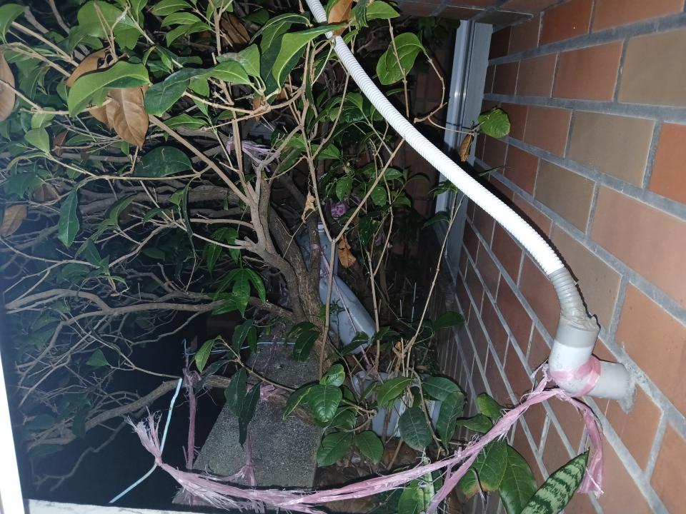 園藝維護案件圖片