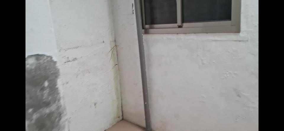 油漆工程案件圖片