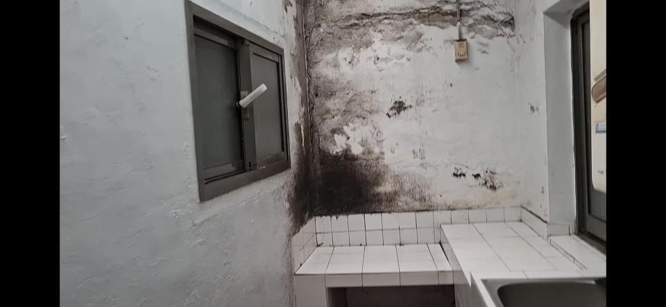 油漆工程案件圖片