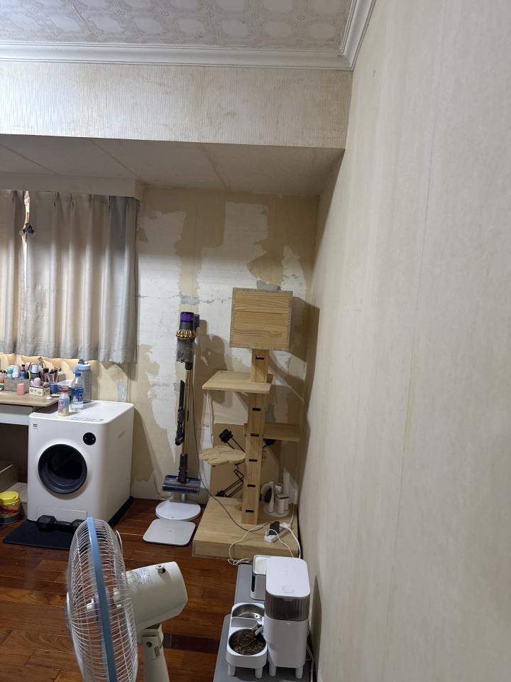 壁紙清除案件圖片 壁紙清除案件圖片