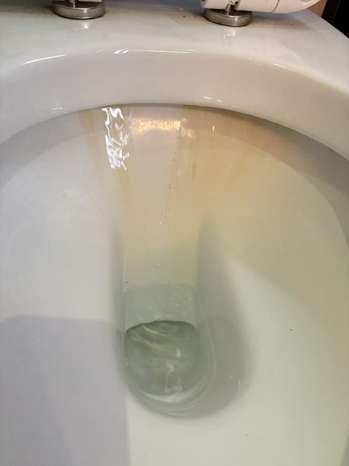 馬桶裝修案件圖片