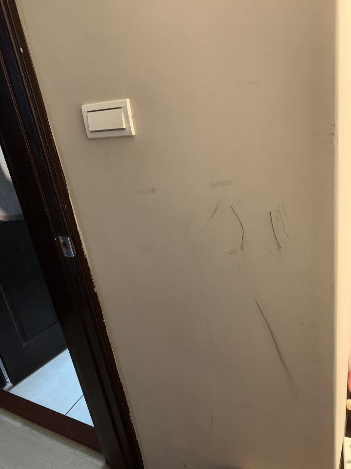 油漆工程案件圖片