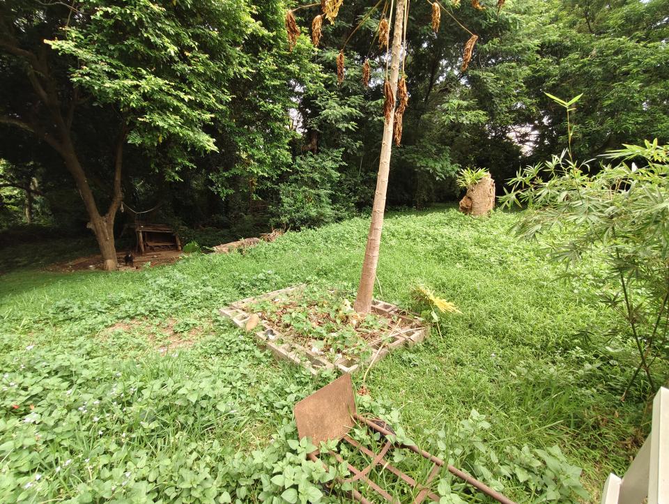 園藝維護案件圖片 園藝維護案件圖片